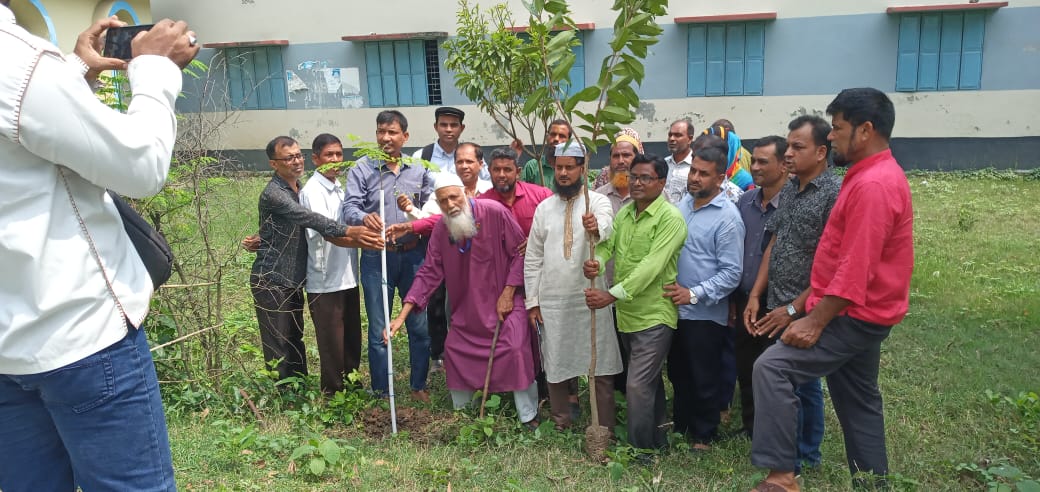 শোক দিবস উপলক্ষে বৃক্ষ রোপন করছে ইছালী মডেল কলেজের শিক্ষক কর্মচারী, icmc, ichhali model college,imc